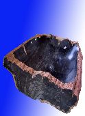Naravni kamen RF Umivalniki iz okamenelega lesa